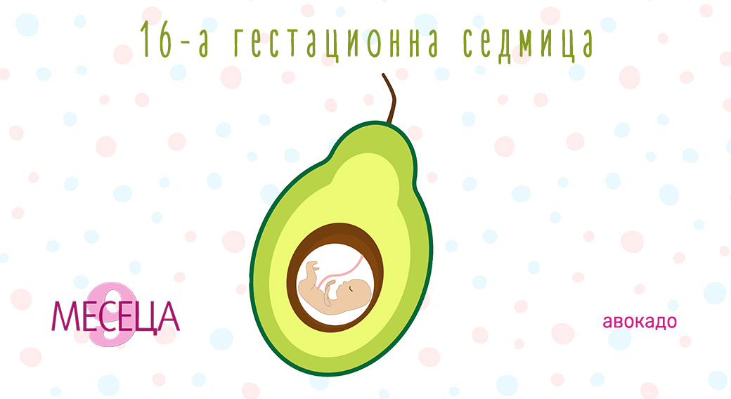 Как да изберем детски гумени ботуши? Ръководство за родители
