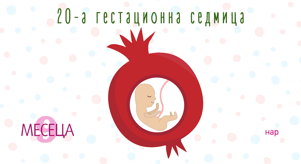 Как да изберем детски гумени ботуши? Ръководство за родители
