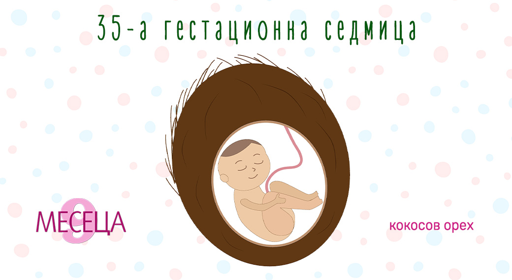 Как да изберем детски гумени ботуши? Ръководство за родители