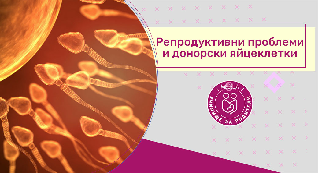 Как да изберем детски гумени ботуши? Ръководство за родители