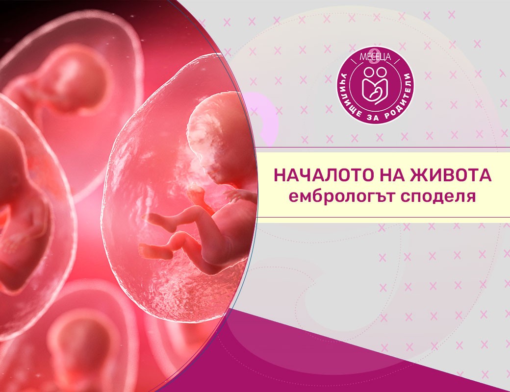 Училище за родители - Началото на живота - разговор с ембриолог 