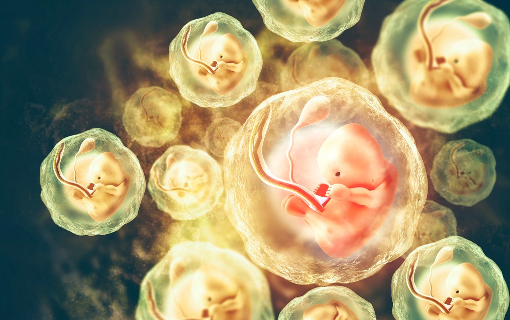 Как да изберем детски гумени ботуши? Ръководство за родители