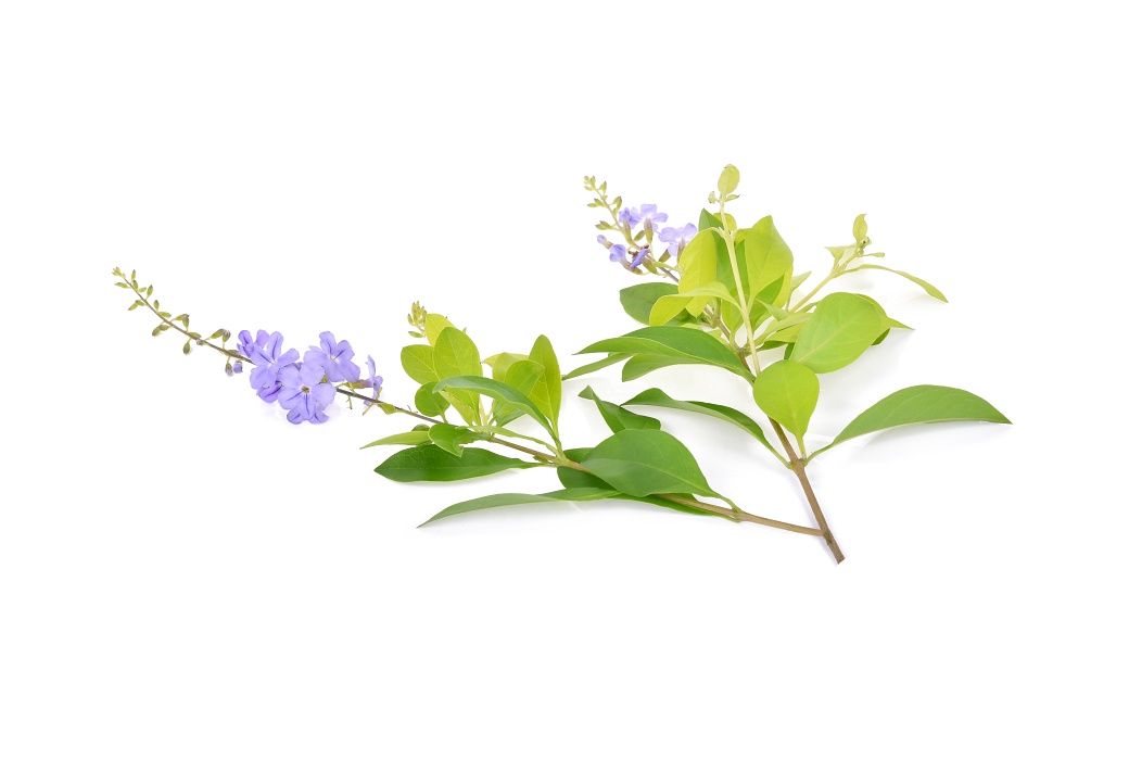 Как да изберем детски гумени ботуши? Ръководство за родители