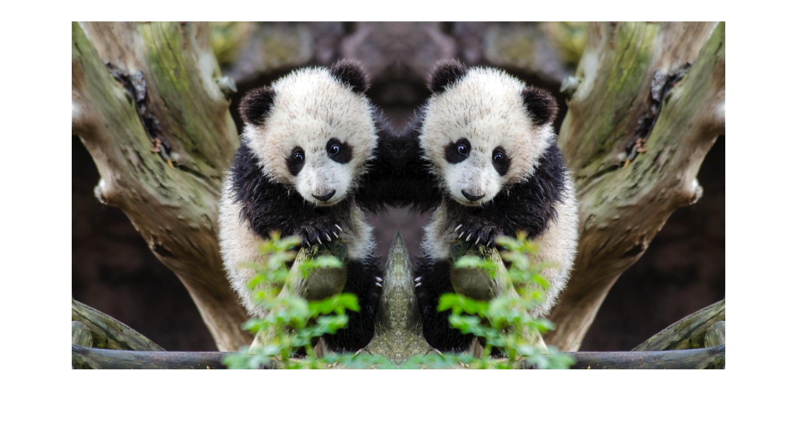 Как да изберем детски гумени ботуши? Ръководство за родители