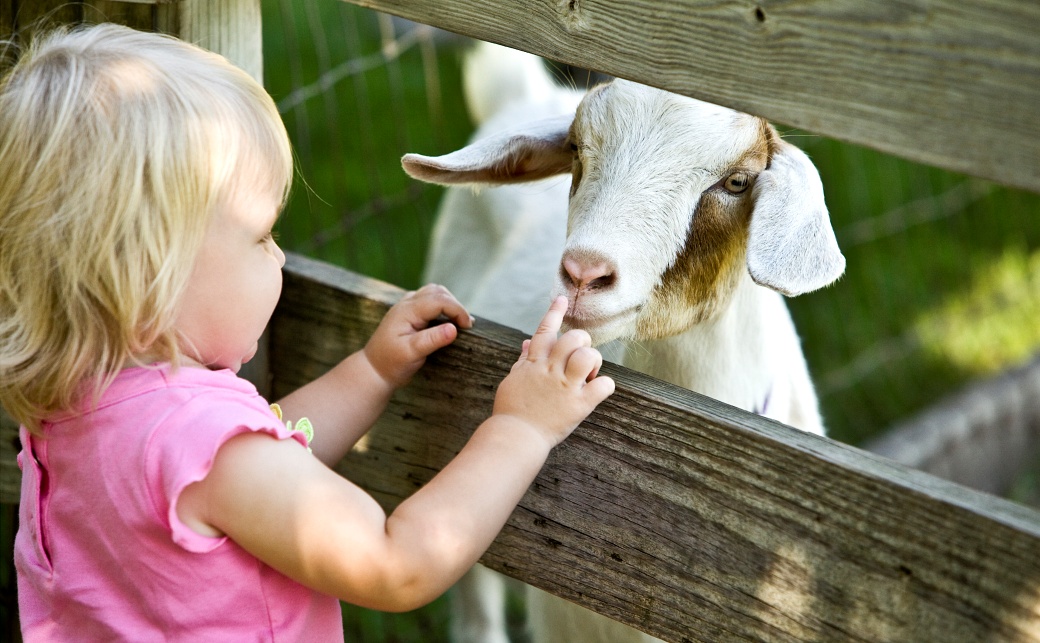 Как да изберем детски гумени ботуши? Ръководство за родители