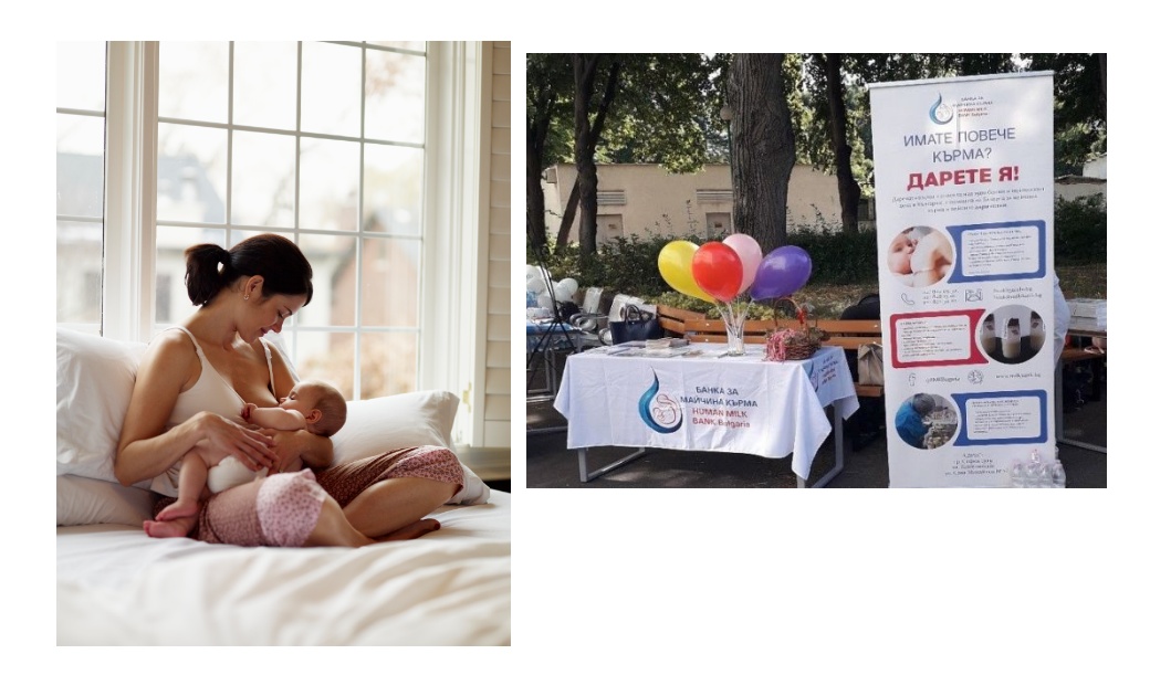 Как да изберем детски гумени ботуши? Ръководство за родители