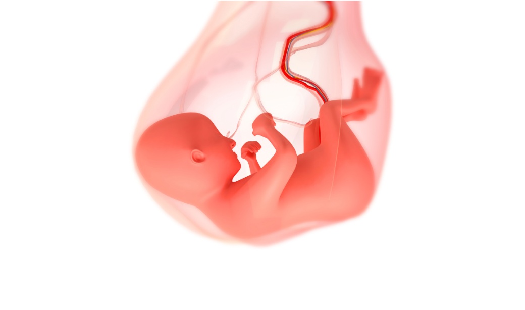 Как да изберем детски гумени ботуши? Ръководство за родители