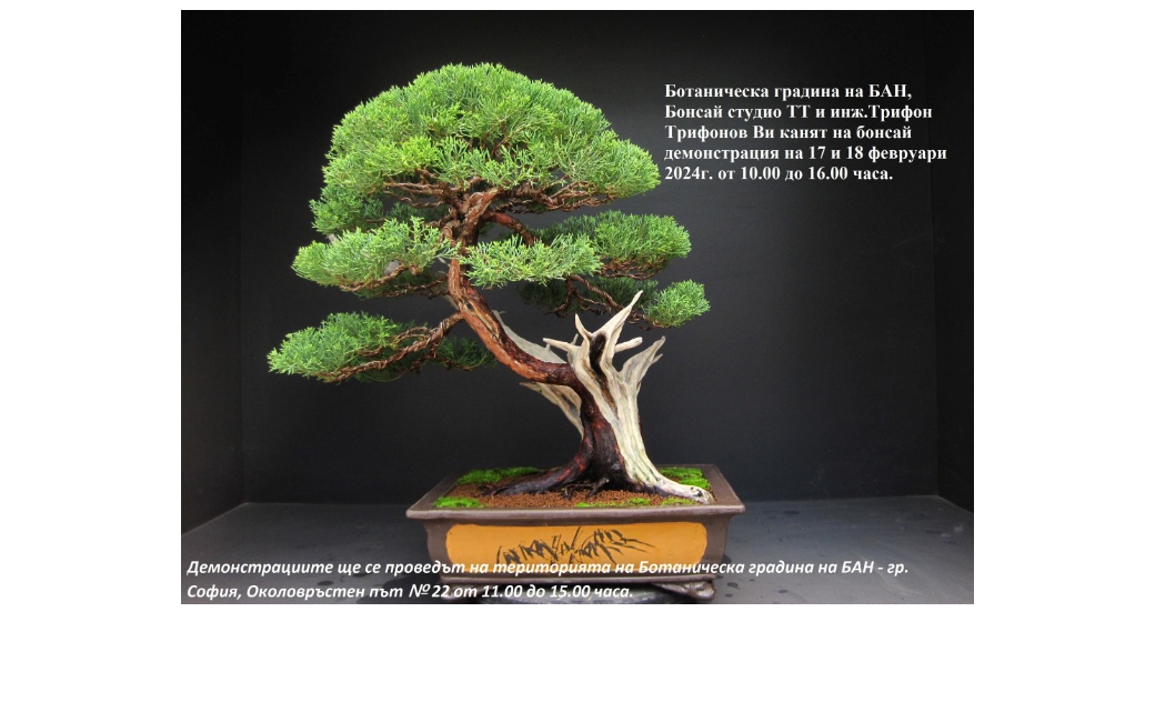 Как да изберем детски гумени ботуши? Ръководство за родители