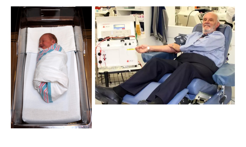 Как да изберем детски гумени ботуши? Ръководство за родители