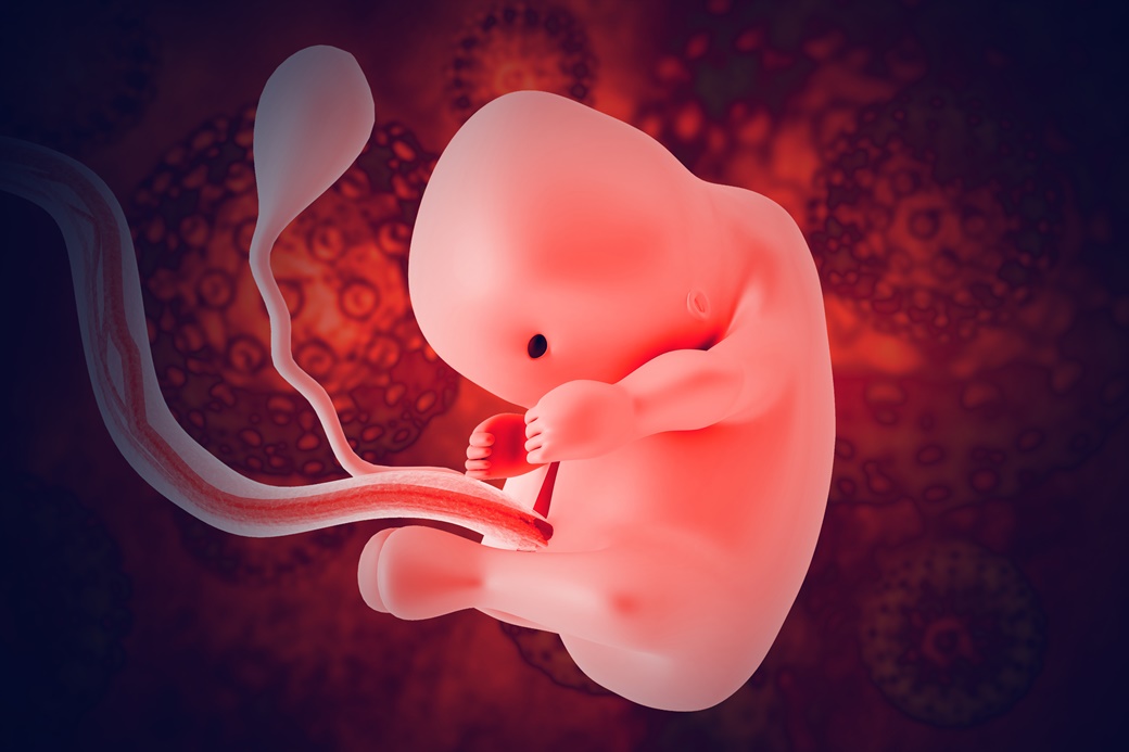 Липсата на кислород и стресът у бременната влияят върху развитието на мозъка на плода